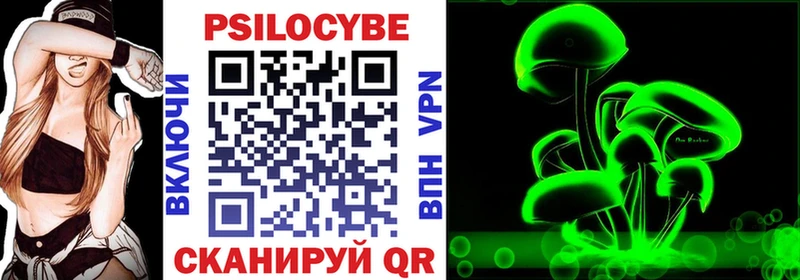 Галлюциногенные грибы Psilocybine cubensis  мега ссылки  Карачев  купить наркоту 